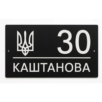 Адресна табличка 350x170мм із дзеркальною підкладкою металева Морозний Січень (з можливістю вашого логотипу на замовлення) TN0010 фото